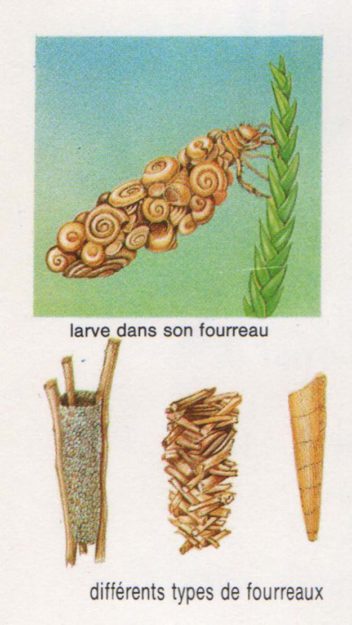 anonyme-grand-dictionnaire-encyclopedique-larousse-1984