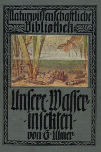 ulmer-1911-2